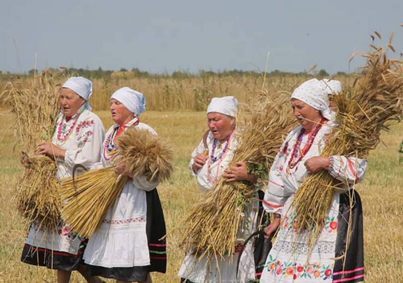 Прокопий-жнец, 21 июля 2021 года: погодные приметы и ...