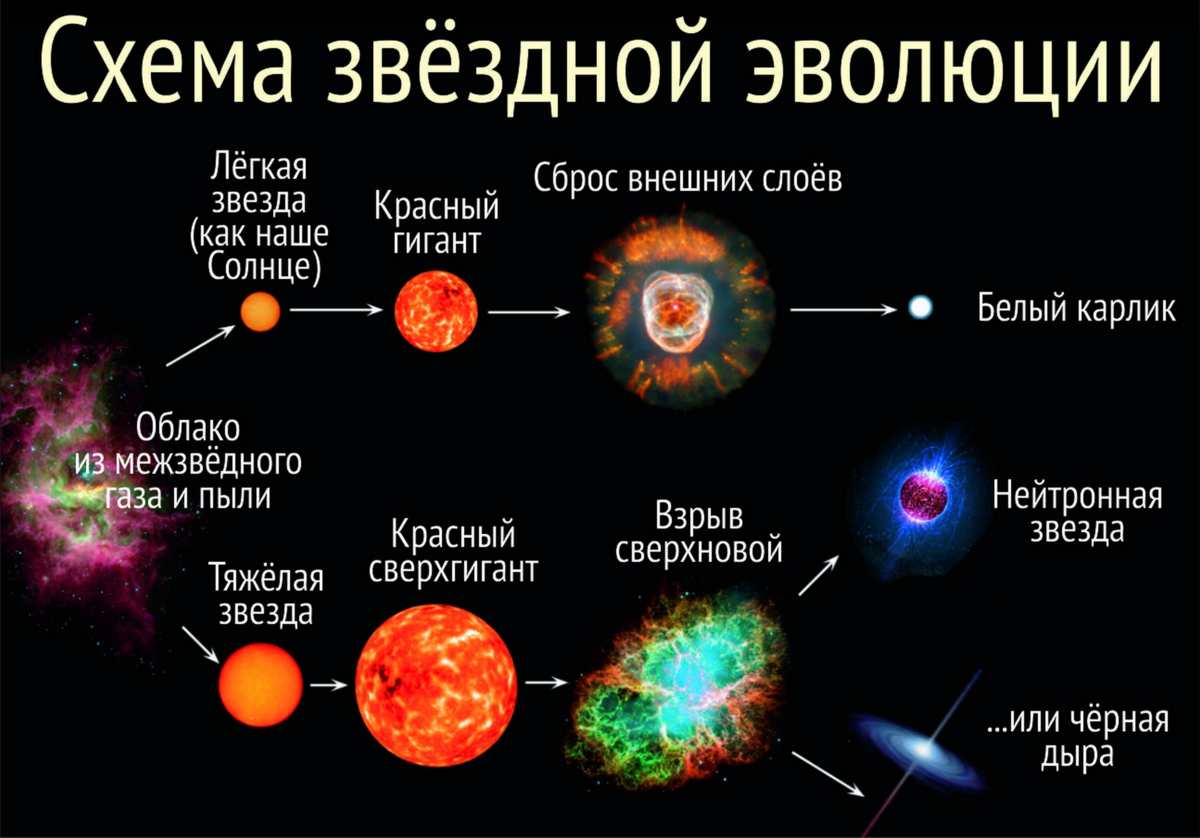 что означают звезды груди фото 98