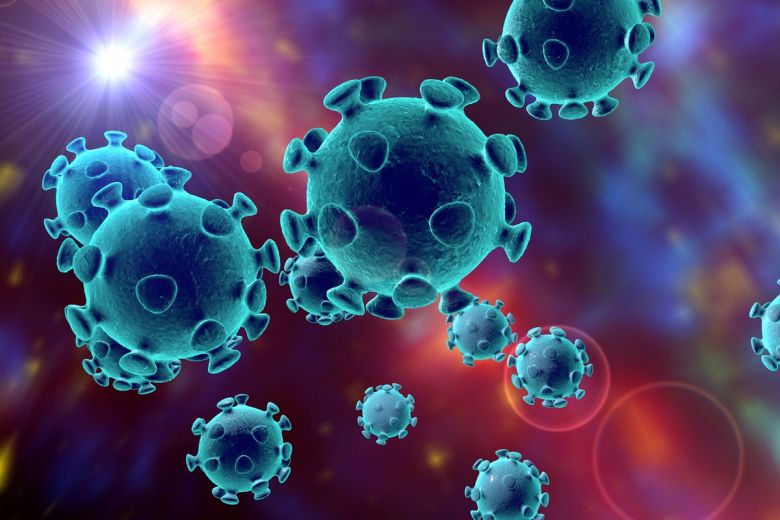 
Новый штамм коронавируса из Индии может привести к ужасающим последствиям во всем мире                0