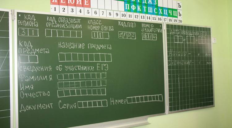 Что изменится в сдаче ЕГЭ по русскому языку, когда будут известны результаты