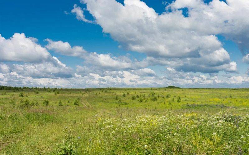 на духов день можно посещать кладбище