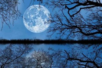 Лунное затмение Фото