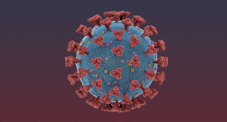 Как отличить кишечную форму коронавируса от легочной рассказали эксперты