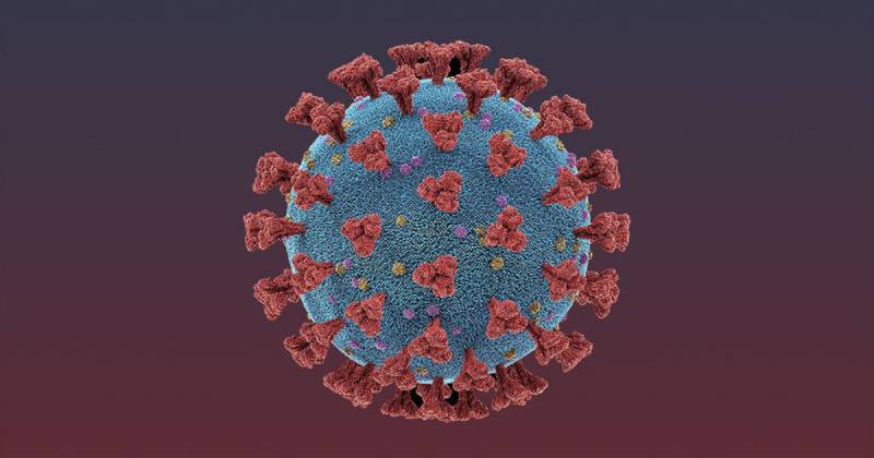 Как отличить кишечную форму коронавируса от легочной рассказали эксперты 