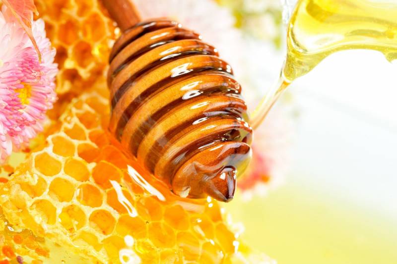 
Почему в праздник Зосимы и Саввы Пчельников 2 июля 2022 года нельзя трогать пчел и продавать мед                5