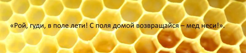 
Почему в праздник Зосимы и Саввы Пчельников 2 июля 2022 года нельзя трогать пчел и продавать мед                1