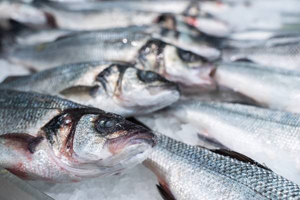 Может ли коронавирус передаваться через рыбу и морепродукты