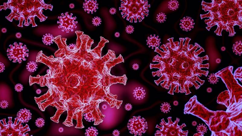 Правда ли, что пандемия коронавируса появилась из-за США