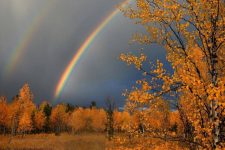 Раскалённые котлы или сад? Священник Зверев раскрыл, где находится ад и рай