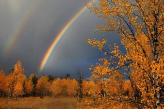 Раскалённые котлы или сад? Священник Зверев раскрыл, где находится ад и рай
