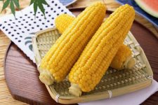 как правильно варить кукурузу