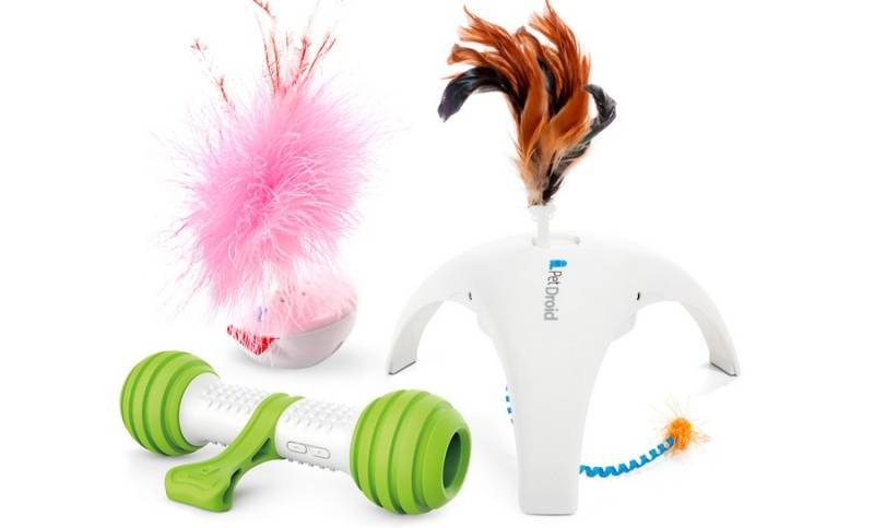 «Умные» игрушки: как помочь домашним питомцам выплеснуть энергию и развлечься