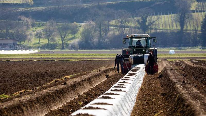 Польша и Украина: аграрные переговоры сорваны