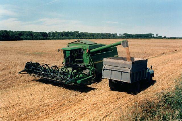 Ученые Ростовской области создают новый сорт озимой пшеницы