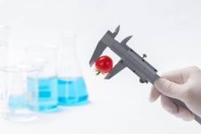 Утверждение типа средств измерений